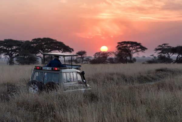 Quelles sont les meilleures destinations pour un safari éco-responsable en Afrique?